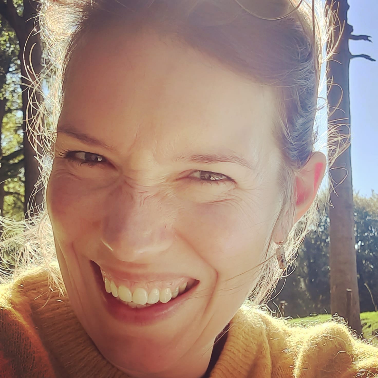 a5e565e3 698d 4df1 88be d5500bd32516